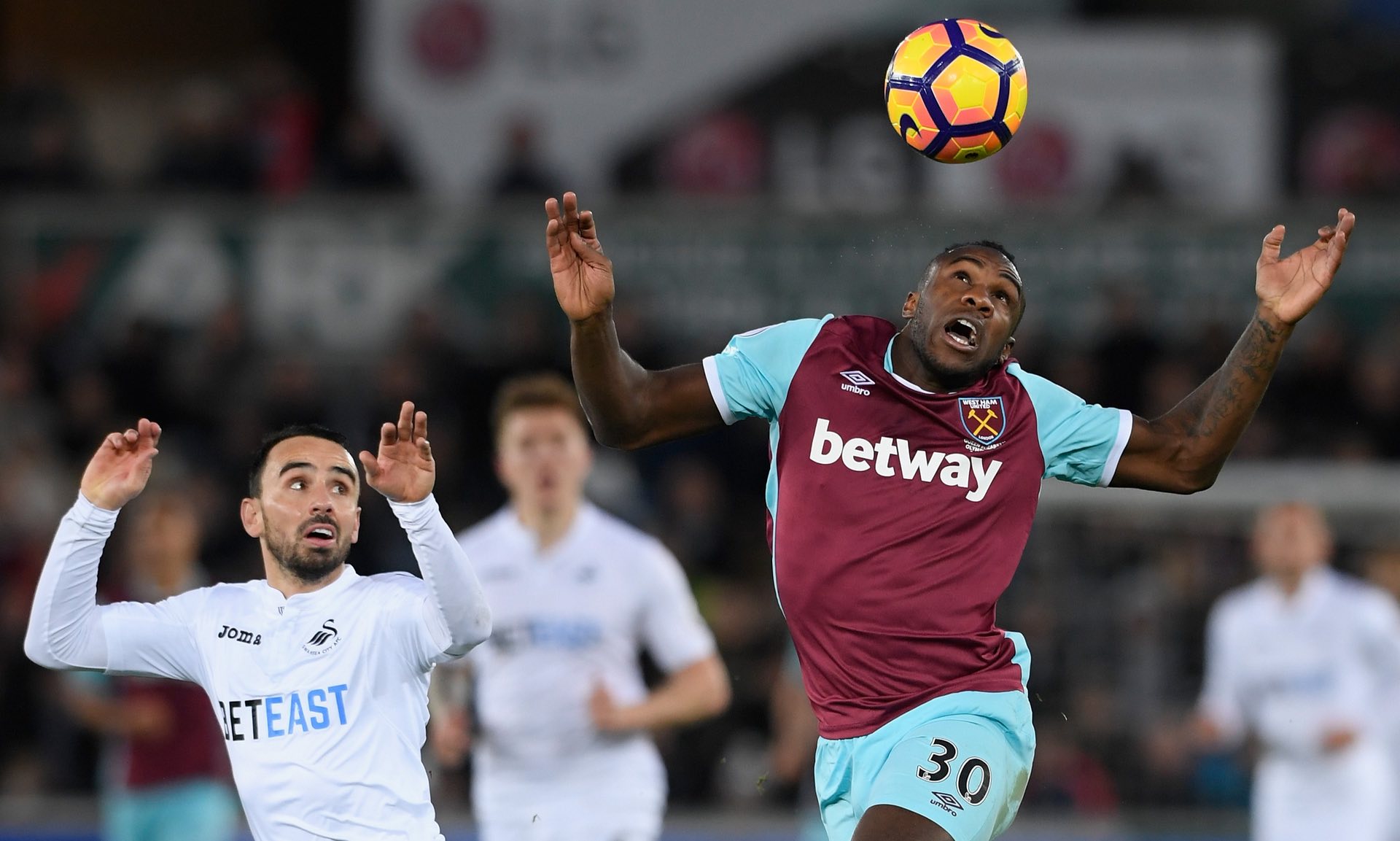 给予爱媛F 给予爱媛F