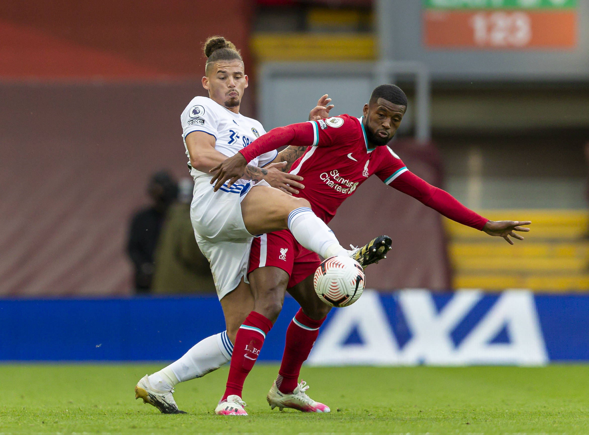 探索布坎南 探索布坎南